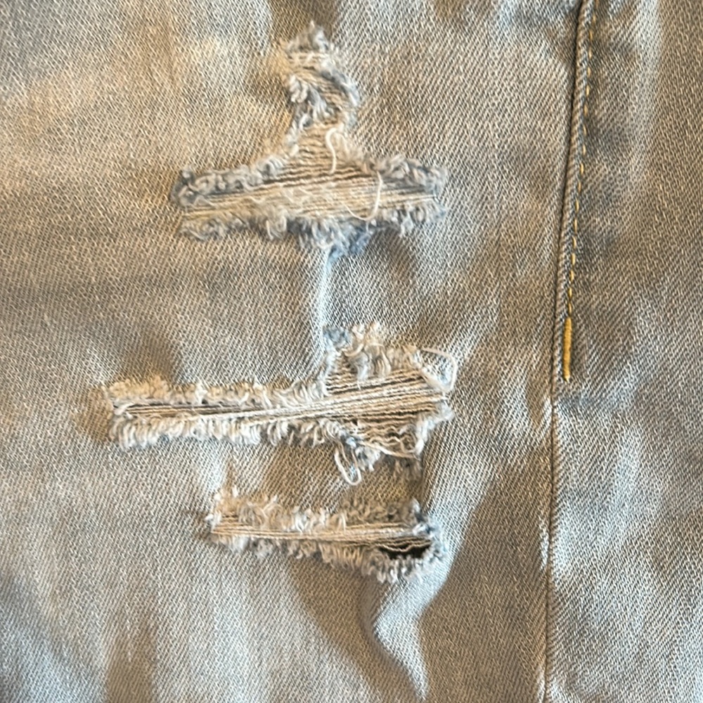 American  eagle 🦅 - Picture 3 of 9